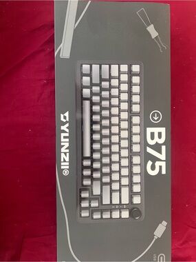Yunzhi B75 Compact Mechanical Keyboard - Gray/White